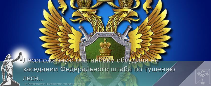 Лесопожарную обстановку обсудили на заседании Федерального штаба по тушению лесных пожаров 